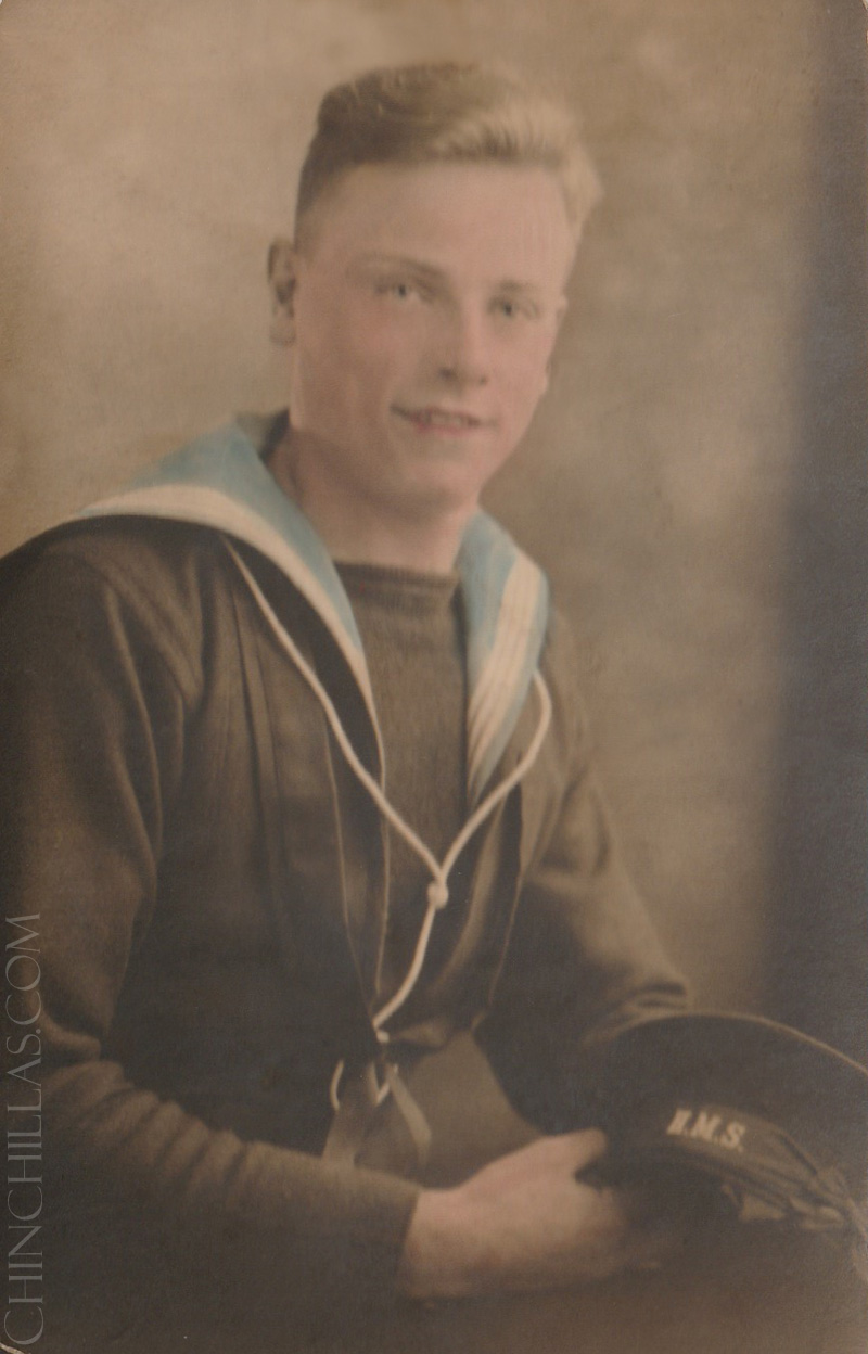 violet chinchilla origin africa gillingham sullivan british warship WW2